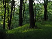 CRW_9168