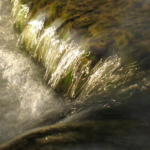 CRW_6776-Square.jpg - Catchlights, River Leven, Stokesley