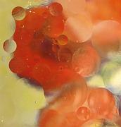 IMG_5533-c